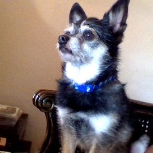 Meet your Posher, Queanh